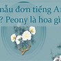 Bảng Kê Hóa Đơn Tiếng Anh Là Gì