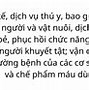 Dịch Vụ Gtgt Trong Nước Là Gì