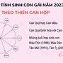 Sinh Con Gái Tháng 12 Năm 2023 Có Tốt Không